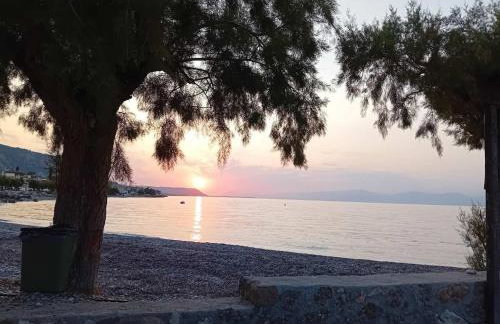 Derveni Sea View Apartments - Foto 24