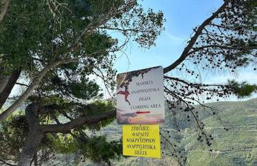 Dreamcatcher - Photo 9