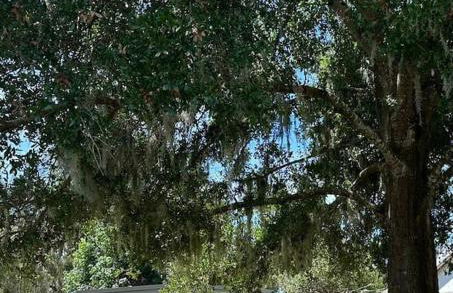 The Little Barn you are looking for! - Photo 29