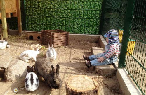 Ferienpension Lindenhof - Ferienwohnungen in der Lüneburger Heide - Foto 71