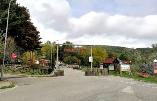 Sweet Lorica - Foto 1