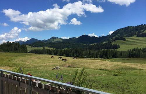 Alpchalet Staufner Quelle - Foto 25