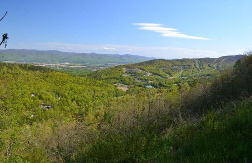 The Summit at Massanutten Resort by Tripforth - Foto 67