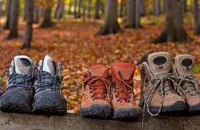 Ferienhaus Thale - Foto 44