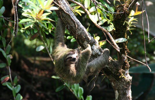 Residencia Natural - Photo 26