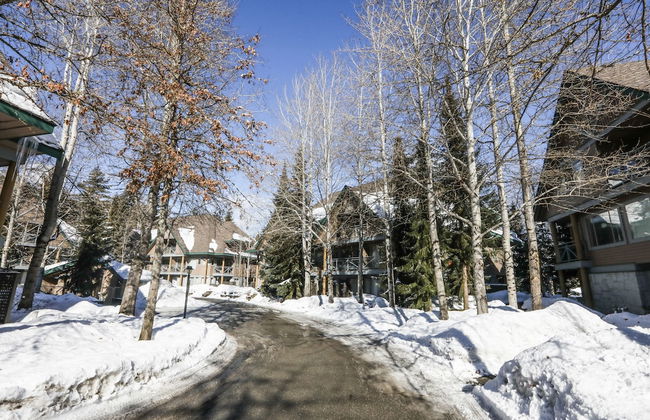 Valhalla Vacations at Whistler - Foto 67