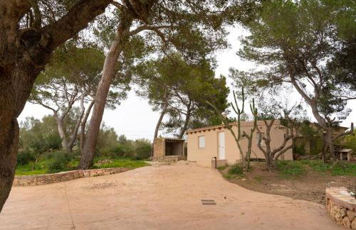 Villa Can Luciana - Photo 20