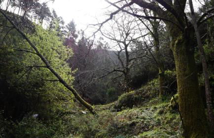 Casa da Quelha - Foto 55