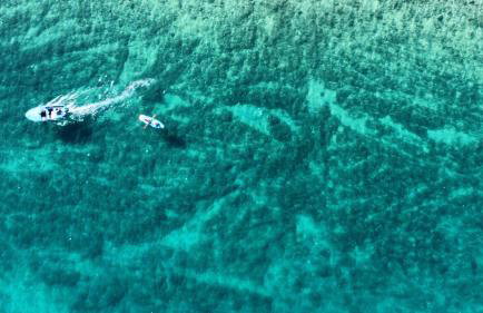 Luxury Beach Apartment Adria with Private Pool and Sea View - Photo 28