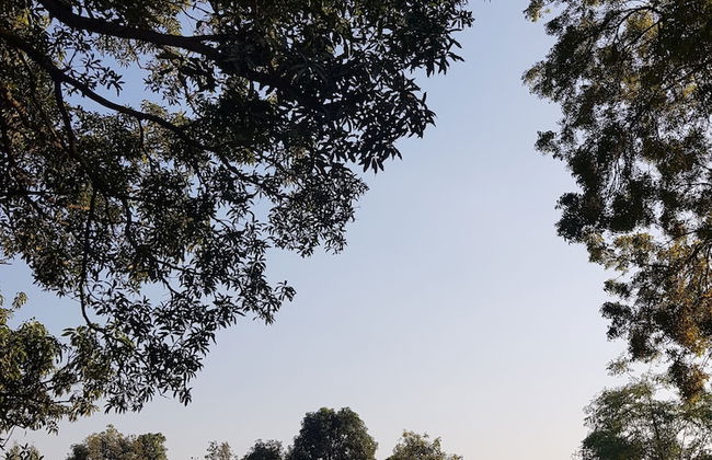 Koko's Farm - Foto 34