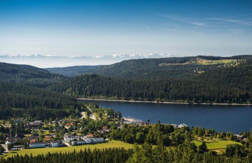 Schreinerhäusle nähe Titisee - Foto 12