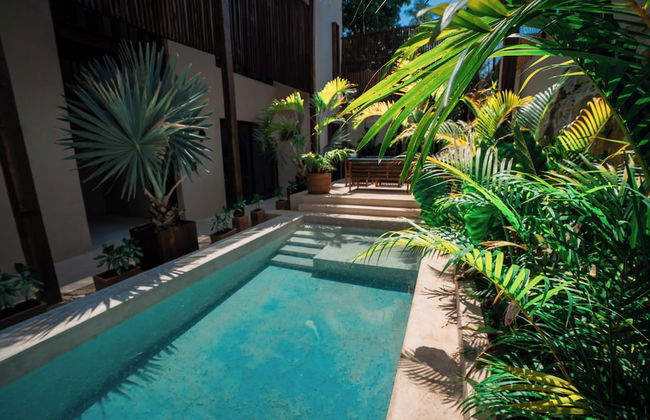 Casa Mandarina Downtown With Pool - Foto 15