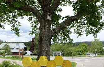 Blick In Den Garten - Foto 22