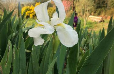 Maison Lily en Provence - Gonfaron - 4ch - Foto 10