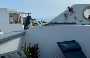 La San Juanita - Foto 10