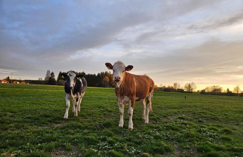 Bummler Hof - Foto 6