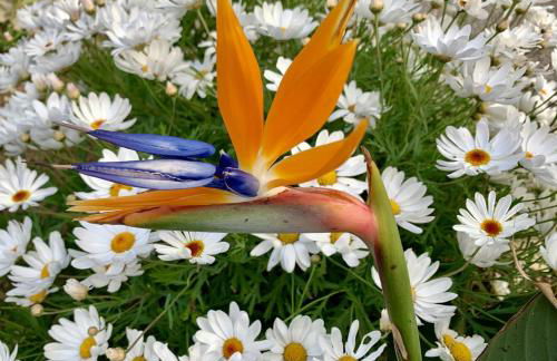 BERGERIE PLAGE Entièrement rénové Prestations Premium Baignoire Balnéo Clim Vue Piscine et parc - Foto 18
