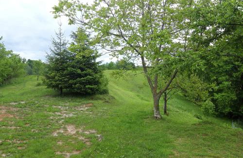 Apartment Sanja - Foto 19