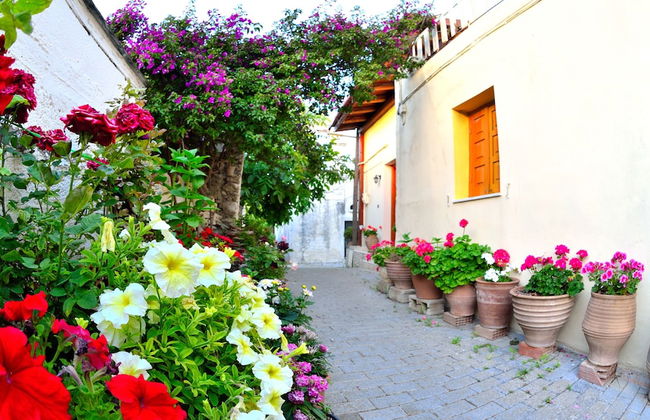 Villa Alagonia - Foto 25