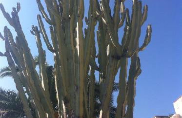 Case Micheletti e Garufi - Foto 24