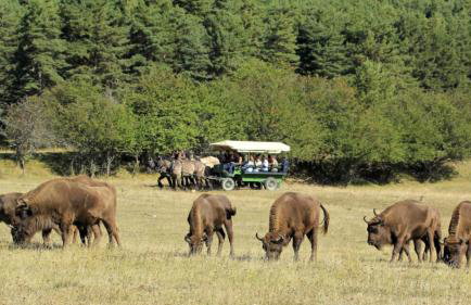 Le Cube Alpin - Cosy Studio - Vue Montagne - Gréolières les Neiges - Foto 33