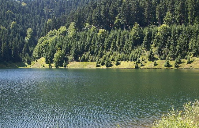 Apartment With Forest in Goldisthal Thuringia - Foto 33