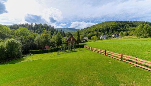 Domki Salamandra Lipowa - Foto 3