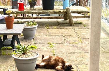 The Retro Retreat with free parking - Foto 20