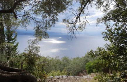 Rizes Sea View - Photo 12