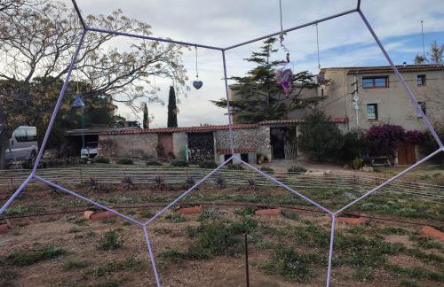 Romegosa Benestar - Foto 38