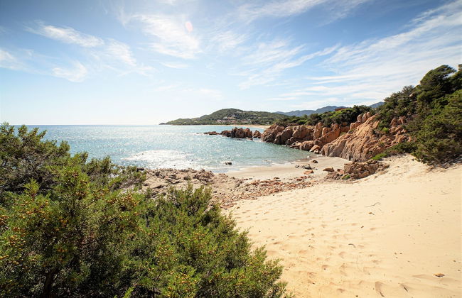 Babai Village Resort - Photo 43