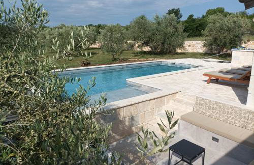 NEW 2023 Villa Tree of Life - Photo 40