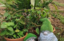 Casa rural la Venta - Foto 21