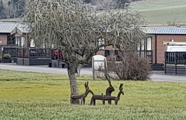 12A Beautiful Lodge Home For Hire 2 Bedrooms - Foto 21