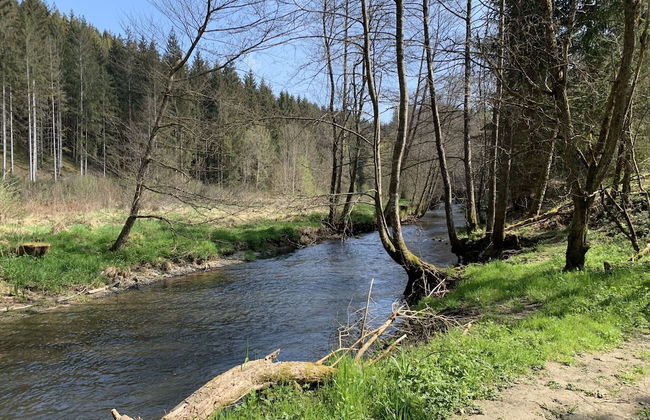 Charming Farmhouse With Large Terrace - Foto 73