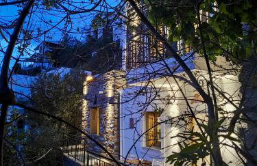 Ioulis Century Home - Photo 14