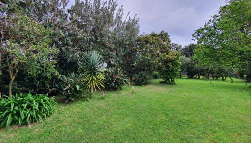 Casa Baleia á Vista - Foto 4, Garden