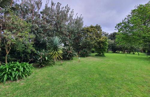 Casa Baleia á Vista - Foto 4