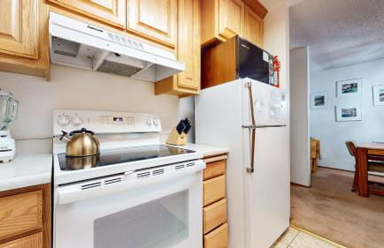 Summit Condominium #267 Condo - Foto 17