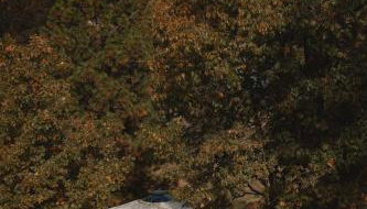 Cosy yurt at a nature retreat in Dunlap CA - Foto 3
