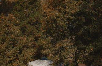 Cosy yurt at a nature retreat in Dunlap CA - Photo 3