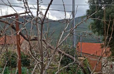 Woodstone House - Photo 34