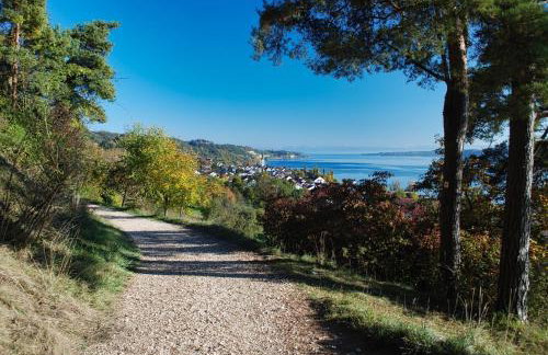 Haus Säntisblick - Foto 31