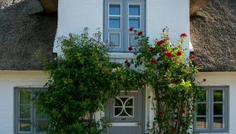 Ferienhaus Midlum - Foto 2