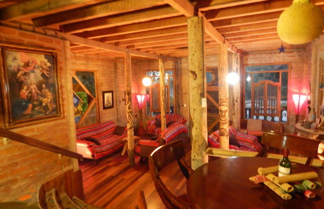 Dogs and Fish Dream Land - Foto 18