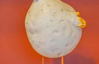 Kaminhaus 2 Fehmarn mit Sauna und Kamin - Foto 2