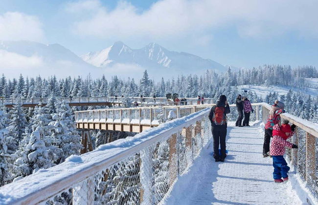 Excursión a Treetop Walk Bachledka + Baños termales de Chochołów - Foto 1