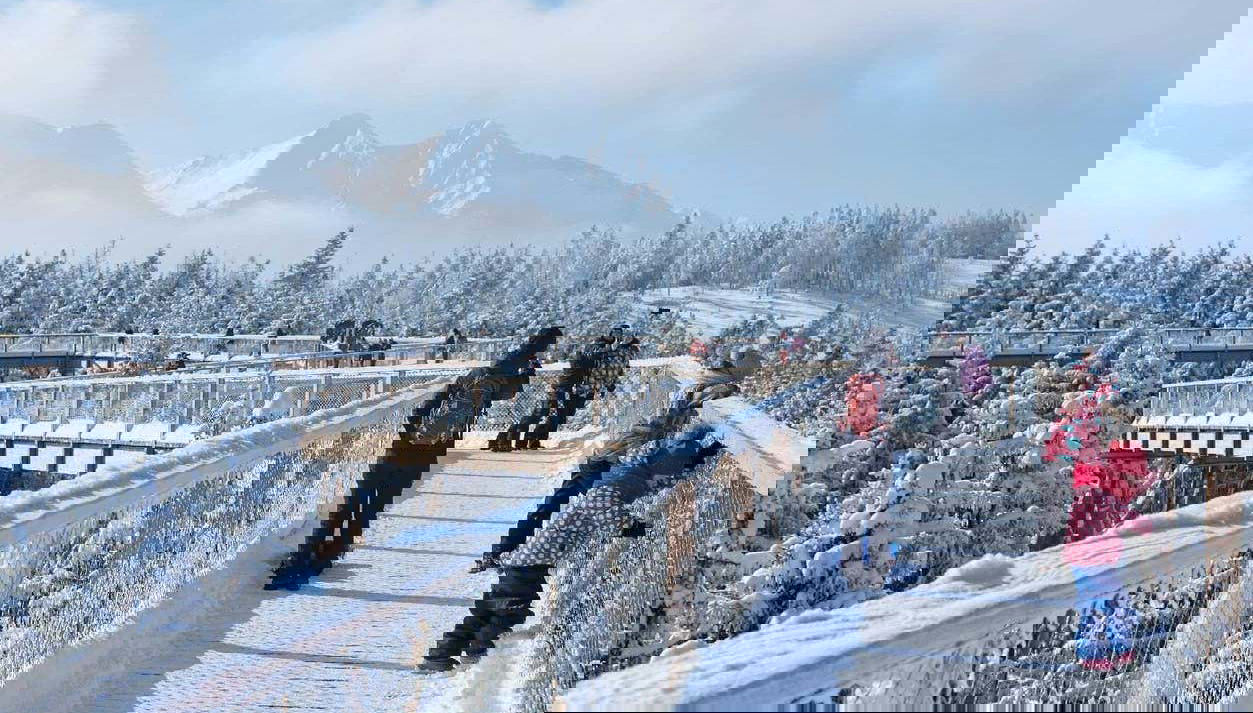 Treetop Walk Bachledka no inverno