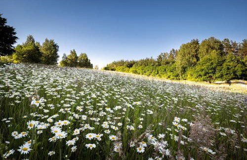 Butterfly Factory - Foto 50