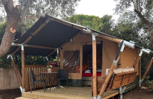 Residence Sunbeam - Foto 18